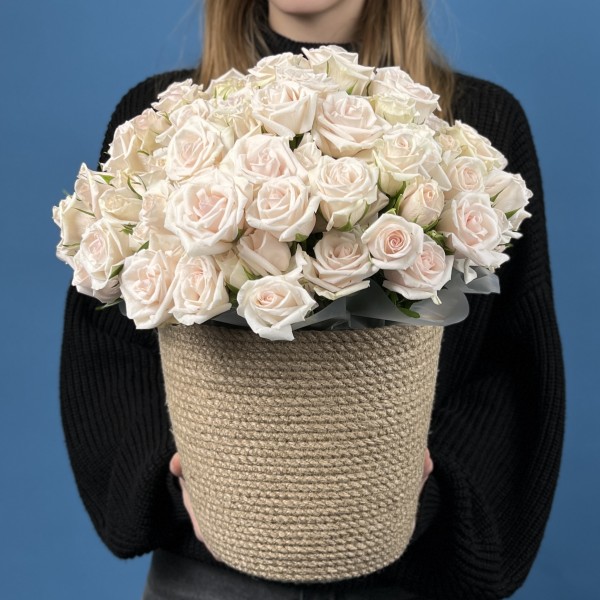 25 кустовых роз Роял Порцелина в кашпо